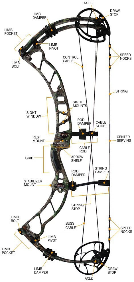 type of bows and arrows